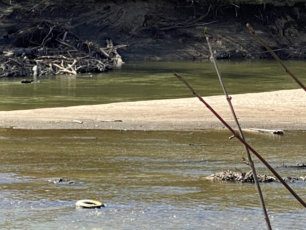 tire in river