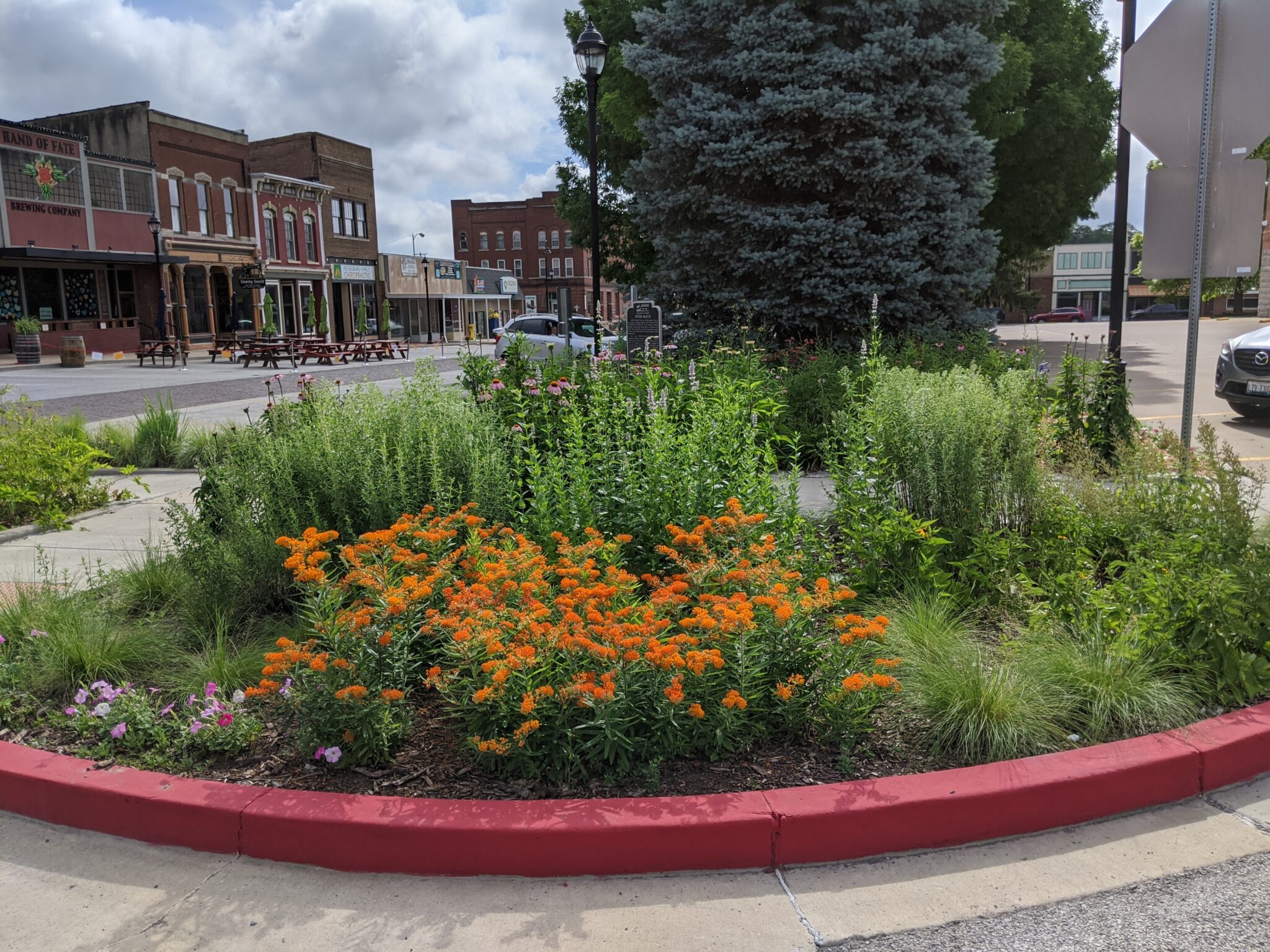 Pollinator Plants For Your Garden Part Menard County Trails