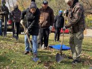 Planting trees & shrubs