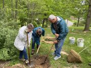 Planting instruction