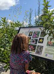 Pollinator sign