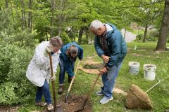 Planting instruction