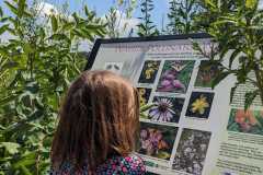 Pollinator sign