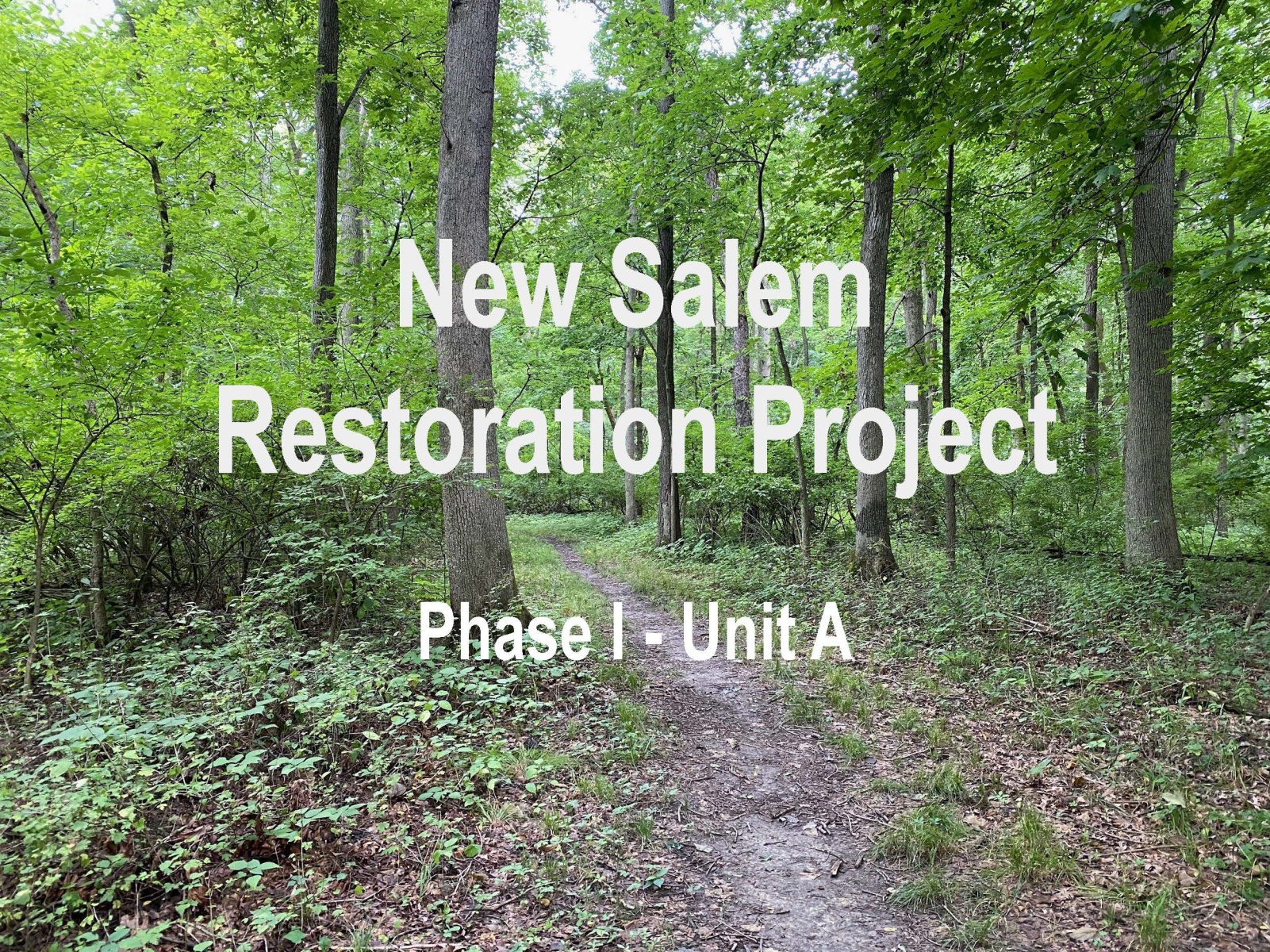 New-Salem-Restoration-Project
