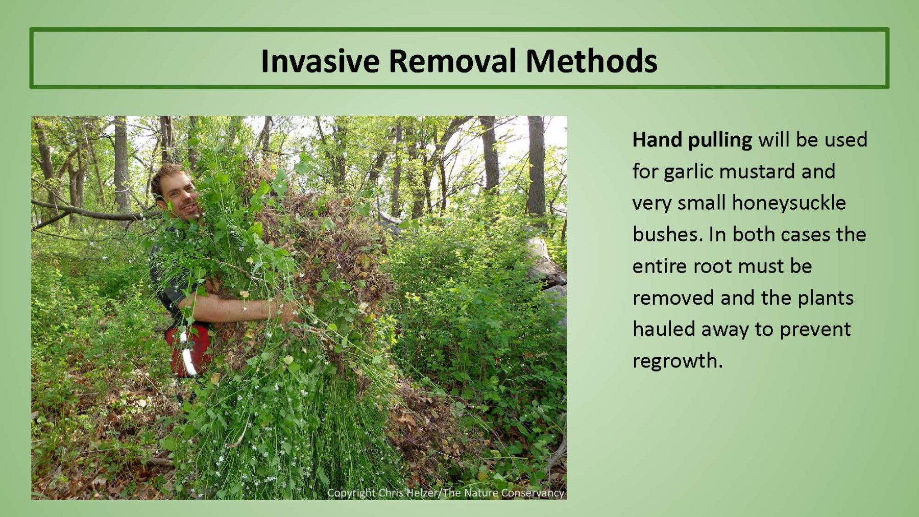 Invasives removal methods