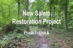 New-Salem-Restoration-Project