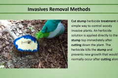 Invasives removal methods