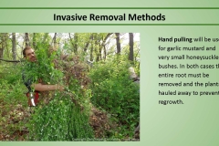 Invasives removal methods