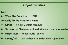 Project Timeline