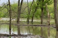 New Salem Trails