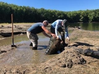 River Sweep