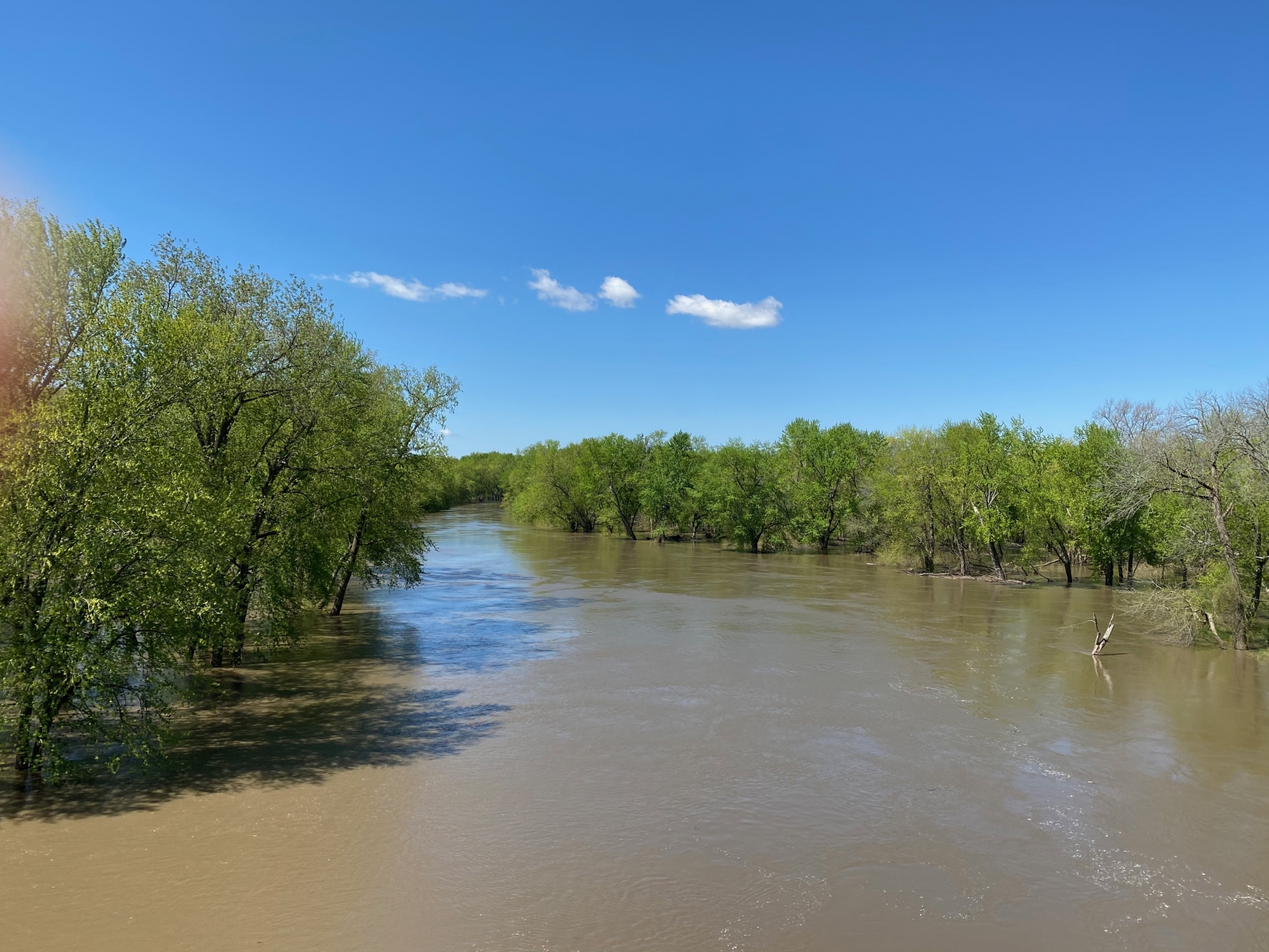 Sangamon River -- high water at end of April 2020