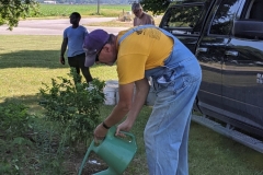 Wayside Watering, June 15