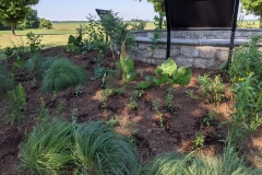 Wayside Pollinator Waystation Planting, June 12