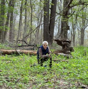 garlic mustard