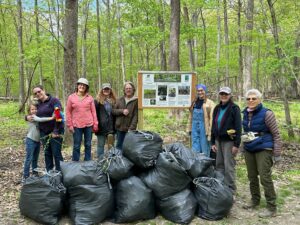 volunteers posing with some of the garlic mustard pulled